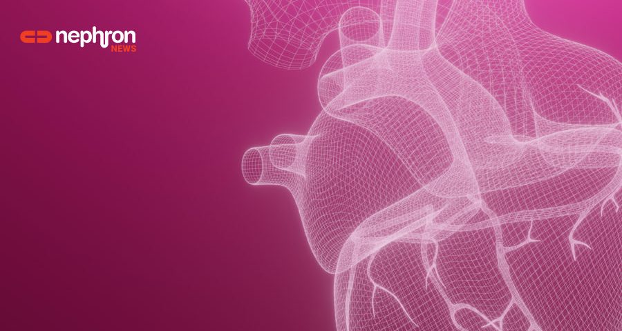 3d heart