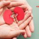 hands and kidneys