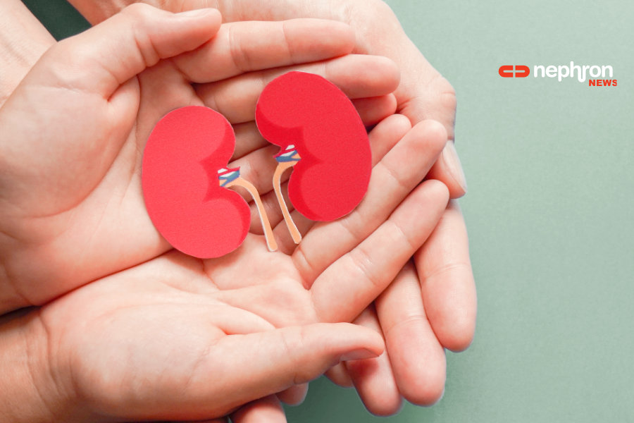 hands and kidneys