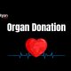 organ-donation