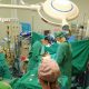 transplant-surgery